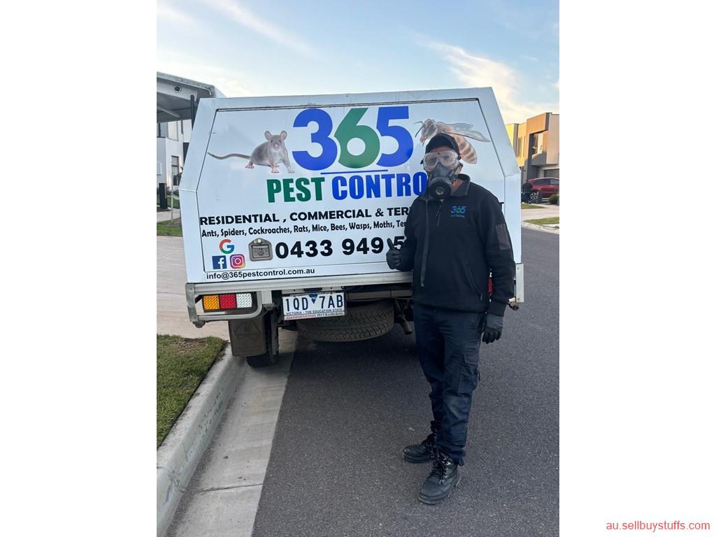 Australia Classifieds Pest Control in Parkdale – Your Local Experts