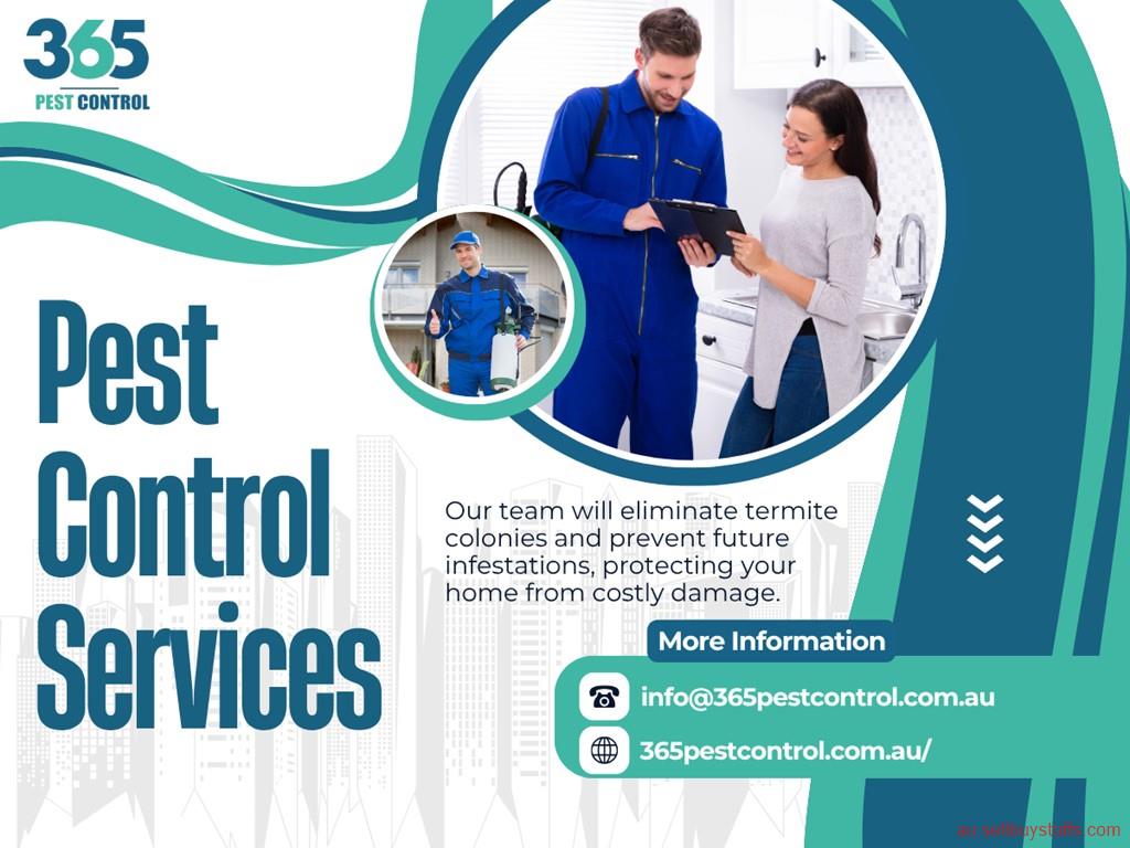 Australia Classifieds Comprehensive Pest Control in Beaumaris – Trusted Experts for a Pest-Free Home