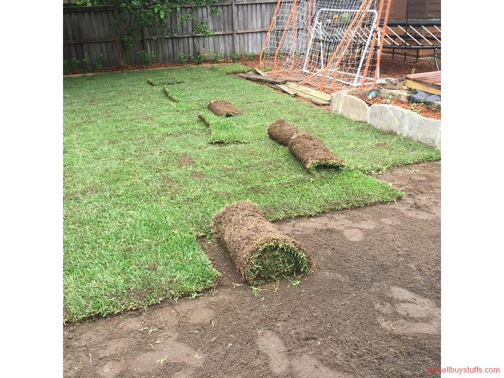 Australia Classifieds Garden Services in Parramatta