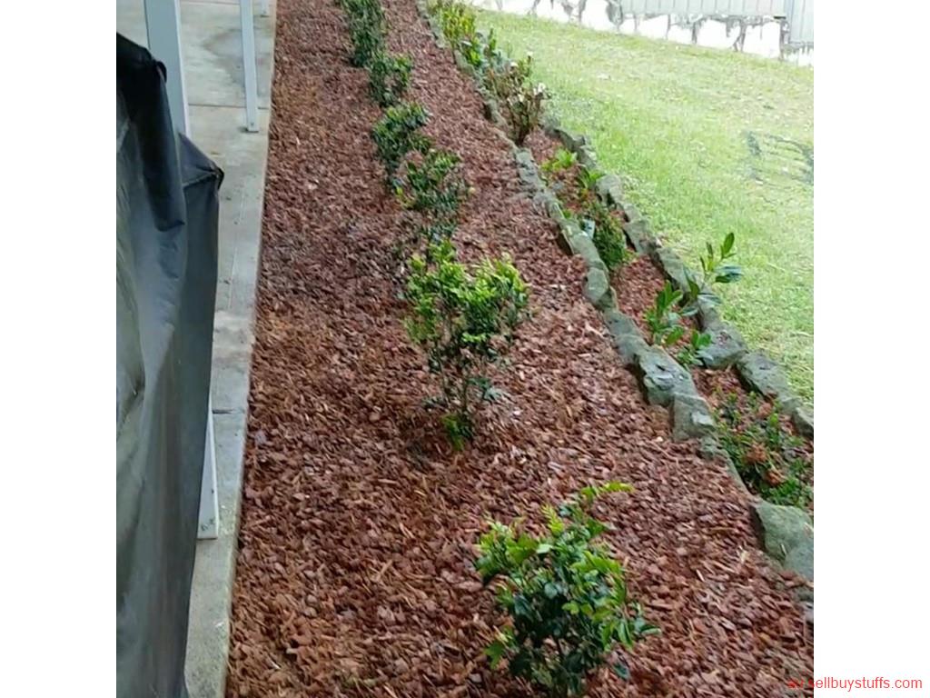 Australia Classifieds Garden Services in Parramatta