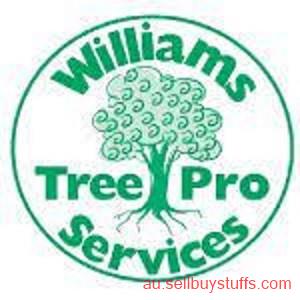 Australia Classifieds Williams Tree Pro