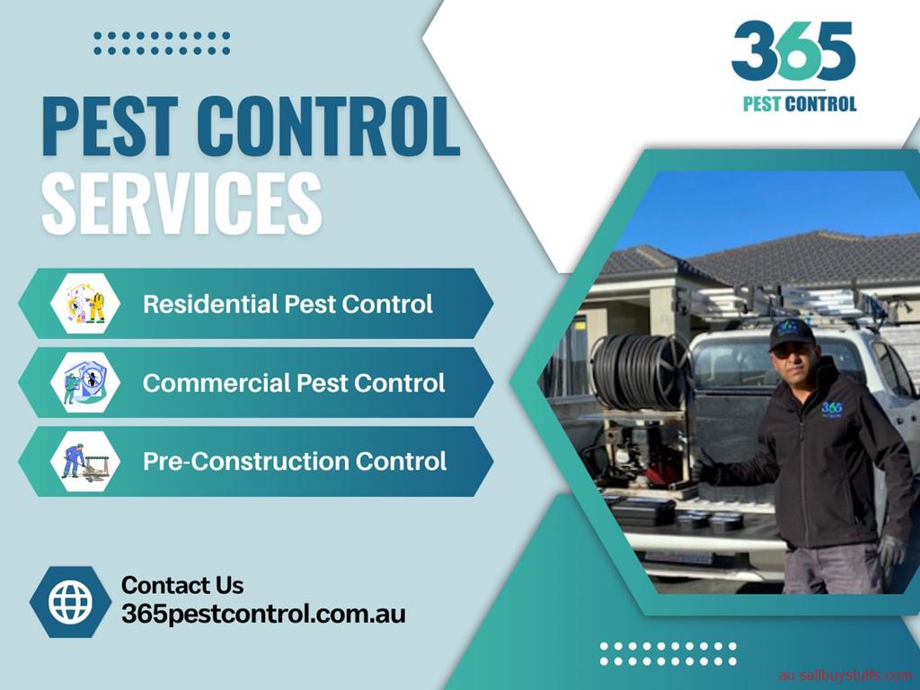 Australia Classifieds Top-notch Pest control in Werribee