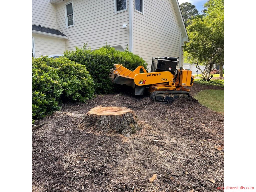 Australia Classifieds Stump Grinding in Red Hill